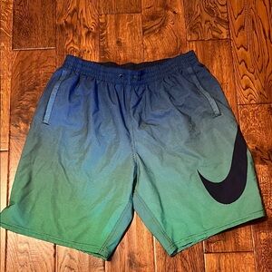 Nike Men's Blue and Green SWIM Shorts
